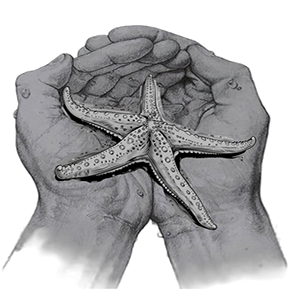Aileen Sandosham, BVMS The Starfish (Veterinary Services)