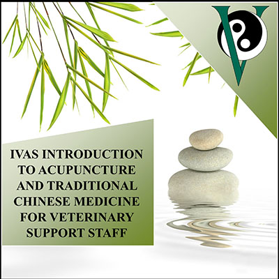 Intro to Traditional Chinese Medicine