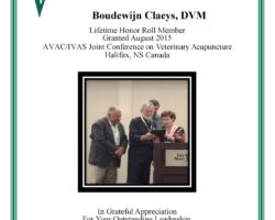 Boudewijn Claeys, DVM