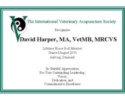 David Harper, MA, VetMB, MRCVS