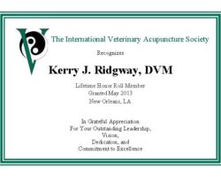 Kerry J. Ridgway, DVM