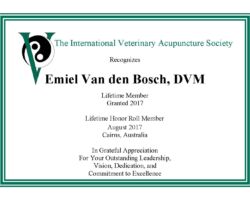 Emiel Van den Bosch, DVM