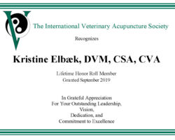 Kristine Elbæk, DVM, CSA, CVA