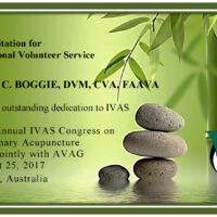 Linda C. Boggie, DVM, CVA, FAAVA
