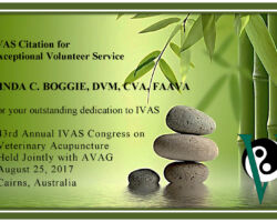 Linda C. Boggie, DVM, CVA, FAAVA