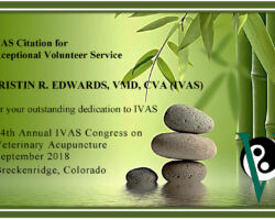 Kristin R. Edwards, VMD, CVA (IVAS)