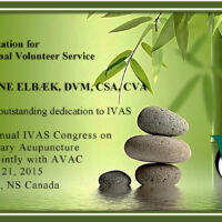 Kristine Elbӕk, DVM, CSA, CVA