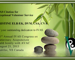 Kristine Elbӕk, DVM, CSA, CVA