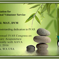 Kevin J. May, DVM