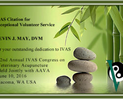 Kevin J. May, DVM