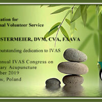 Nell Ostermeier, DVM, CVA, FAAVA