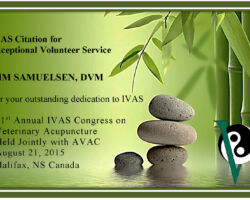 Kim Samuelsen, DVM