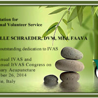 Michelle Schraeder, DVM, MEd, FAAVA