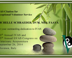 Michelle Schraeder, DVM, MEd, FAAVA