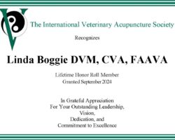 Linda Boggie DVM, CVA, FAAVA