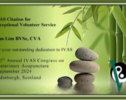 Kim Lim BVSc, CVA