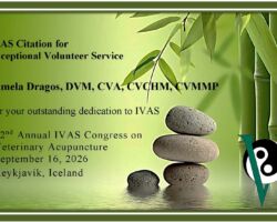 Pamela Dragos, DVM, CVA, CVCHM, CVMMP